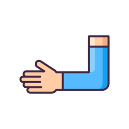 Antebrazo